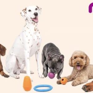 CROQ : La meilleure alimentation naturelle pour votre chien — Offres & Coupons Exclusifs !